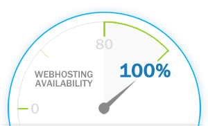 100% Webhosting availability